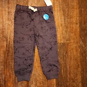 Carter's 2t drawcord pants